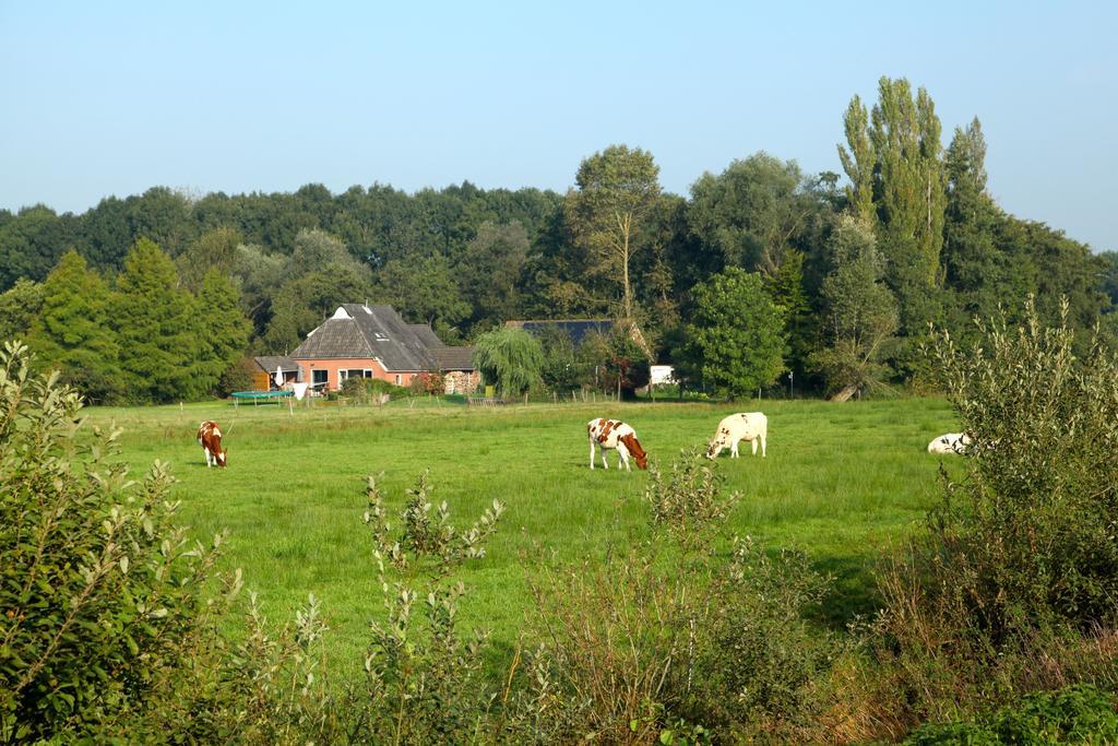 Aan Het Diepje Lettelbert Exteriér fotografie