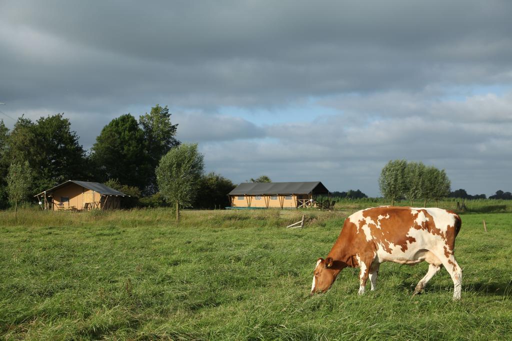 Aan Het Diepje Lettelbert Exteriér fotografie