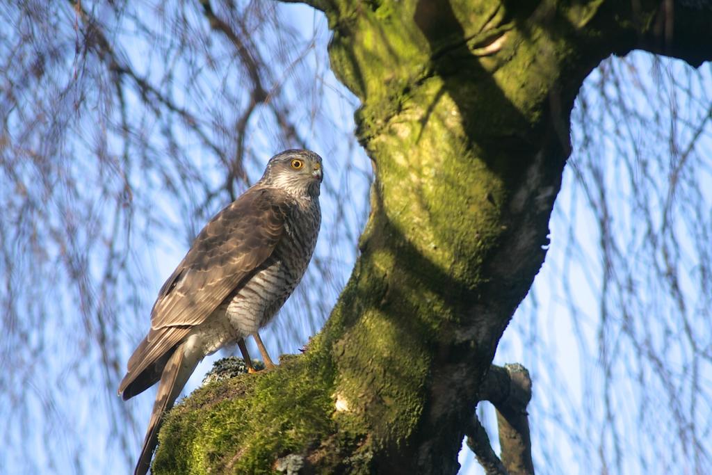 Aan Het Diepje Lettelbert Exteriér fotografie