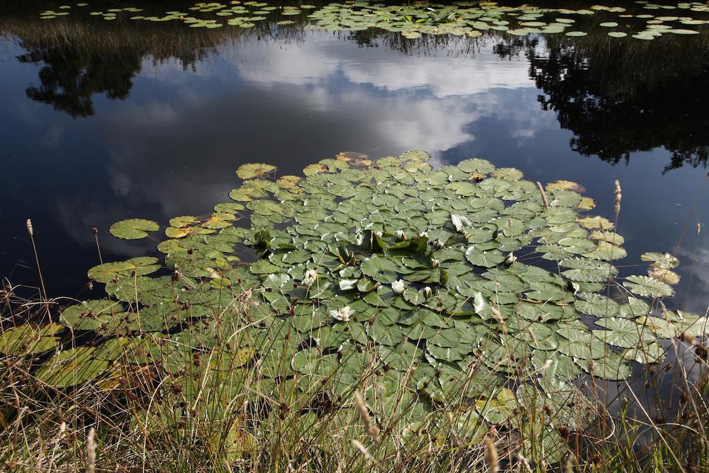 Aan Het Diepje Lettelbert Exteriér fotografie